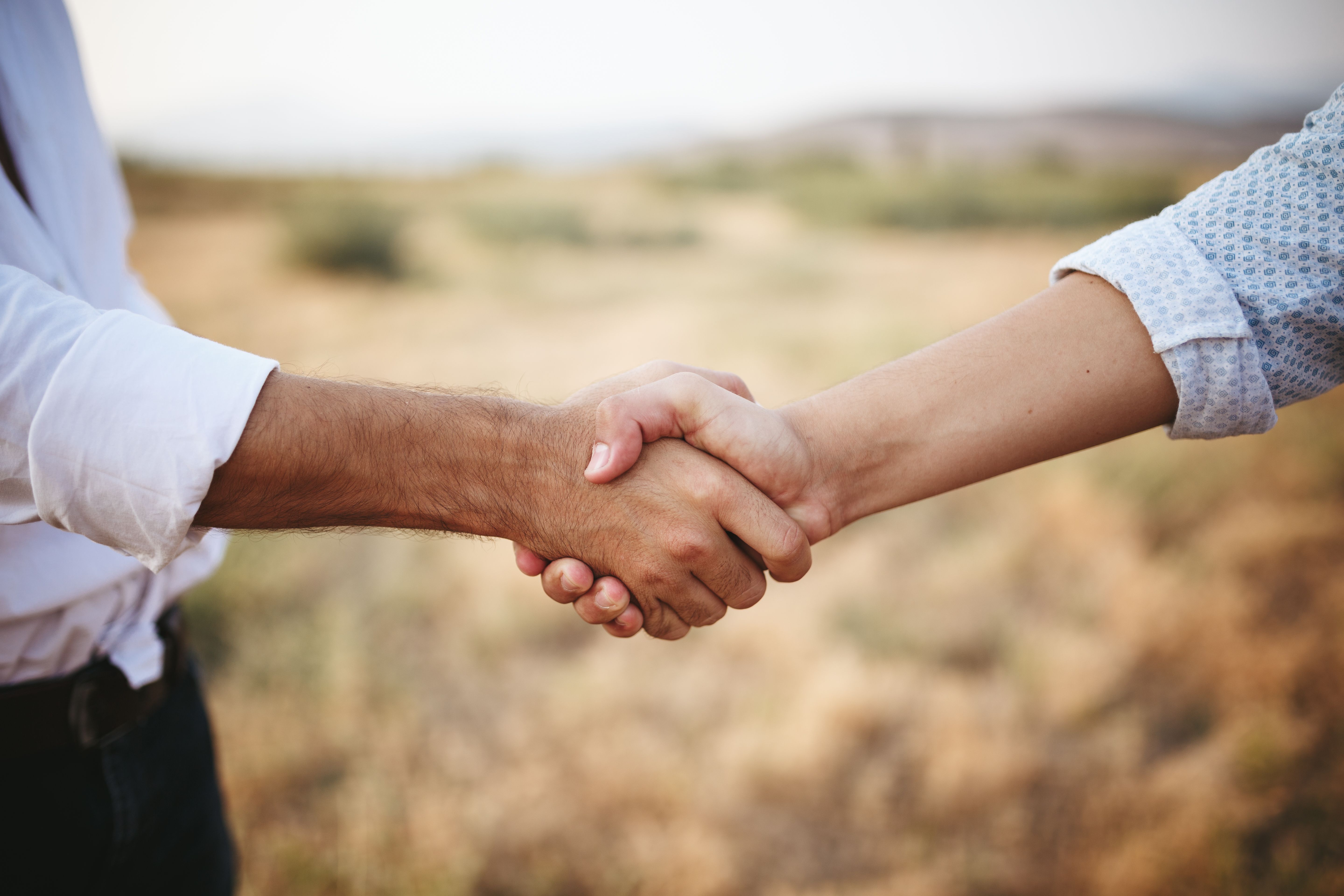 Zwei Personen geben einander vor unscharfer Landschaftskulisse die Hand.