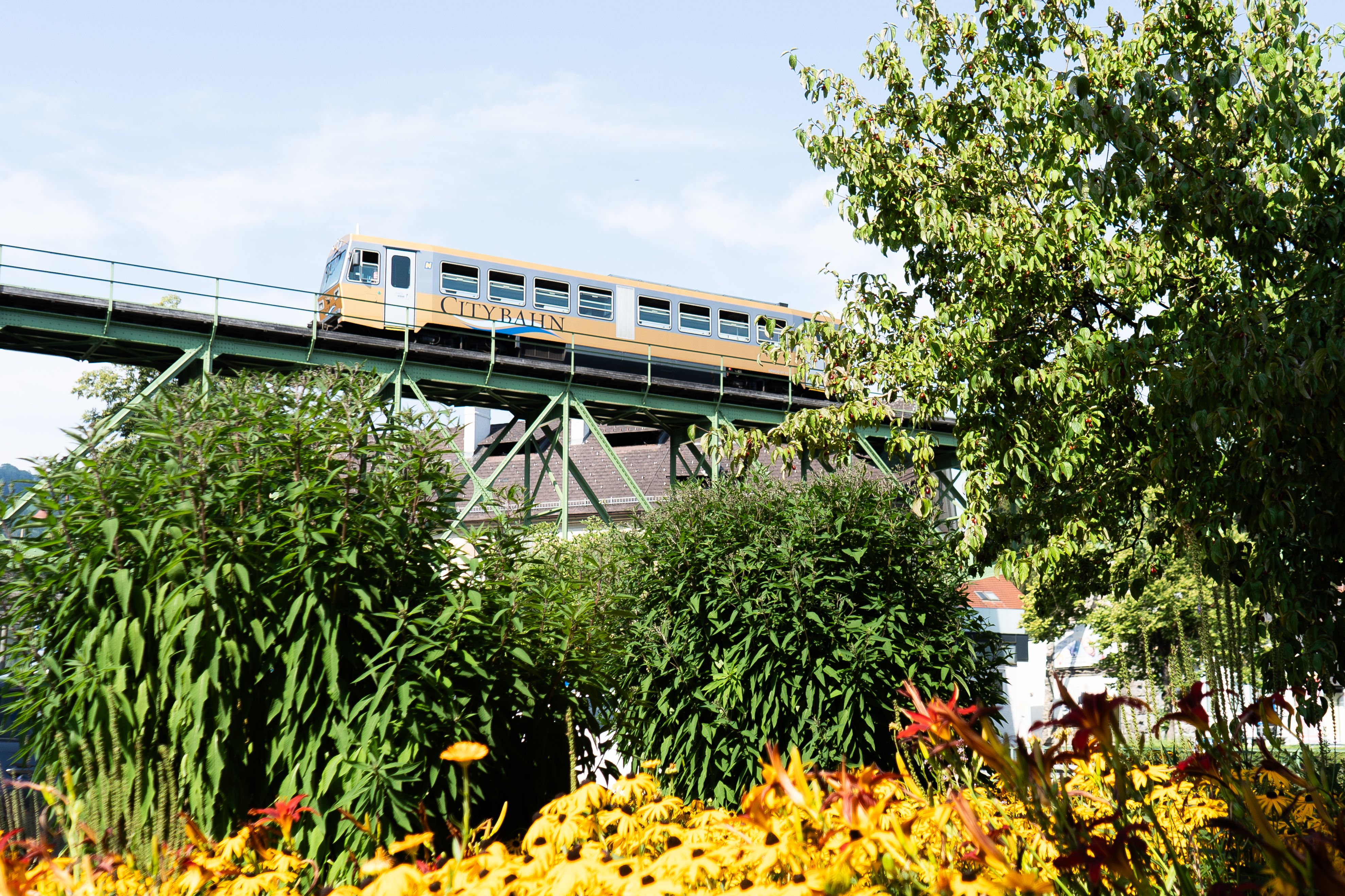 Triebwagen der Citybahn Waidhofen fährt über eine grüne Stahlbrücke; im Vordergrund blühen gelbe und orange Blumen.