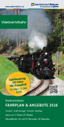 Schwarze Dampflokomotive mit Rauch auf geschwungenen Gleisen, umgeben von Wald und Wiese.