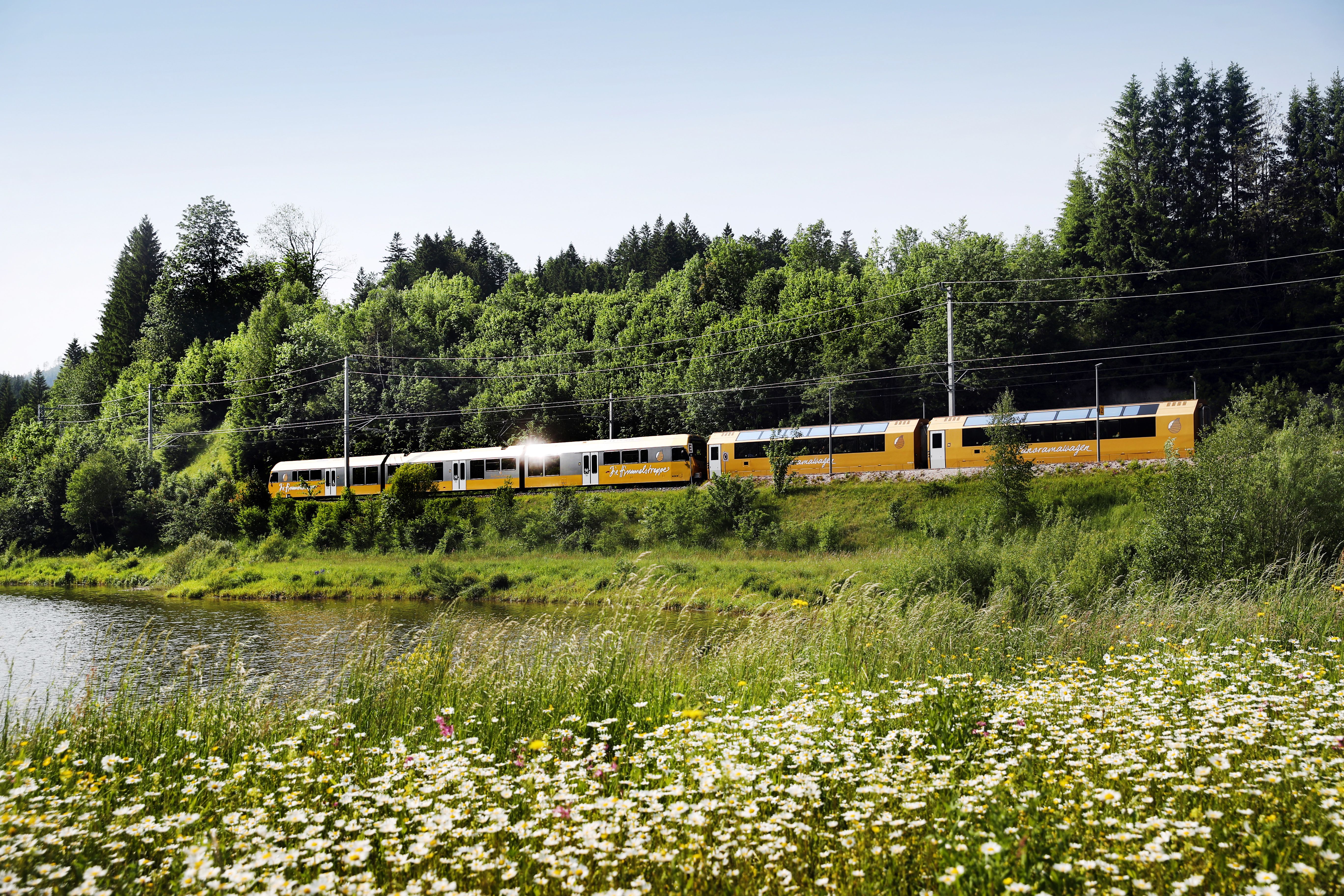 Himmelstreppe und Panoramawagen der Mariazellerbahn fahren an einer Blumenwiese und einem Teich entlang.