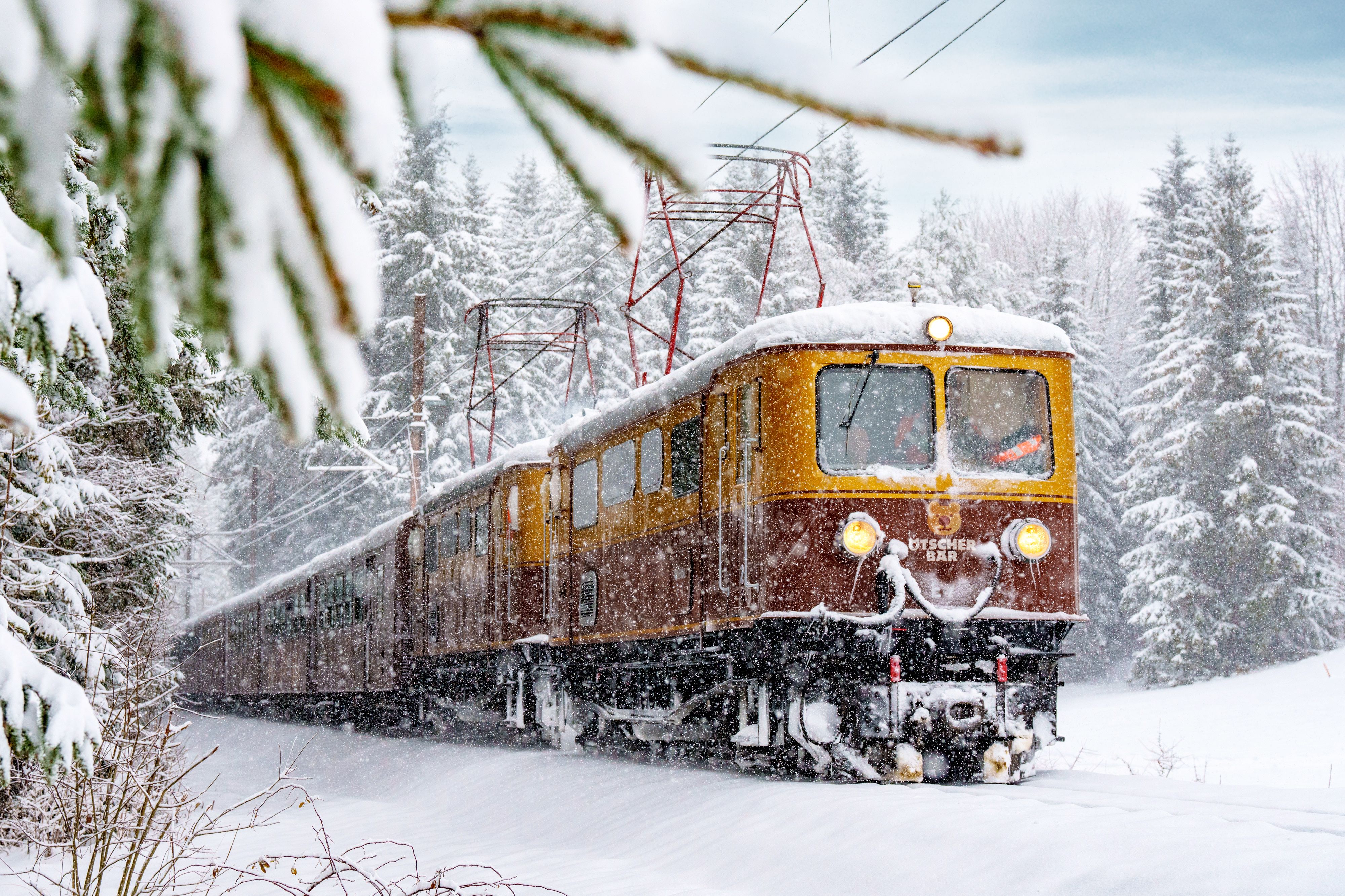 Ein Zug fährt durch eine verschneite Winterlandschaft, umgeben von schneebedeckten Bäumen.