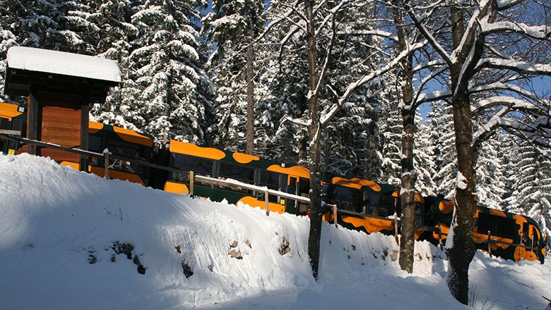Weihnachtsfahrten zur Hengsthütte