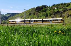 Goldener Regionalzug fährt hinter einer grünen Wiese durch eine hügelige Landschaft.