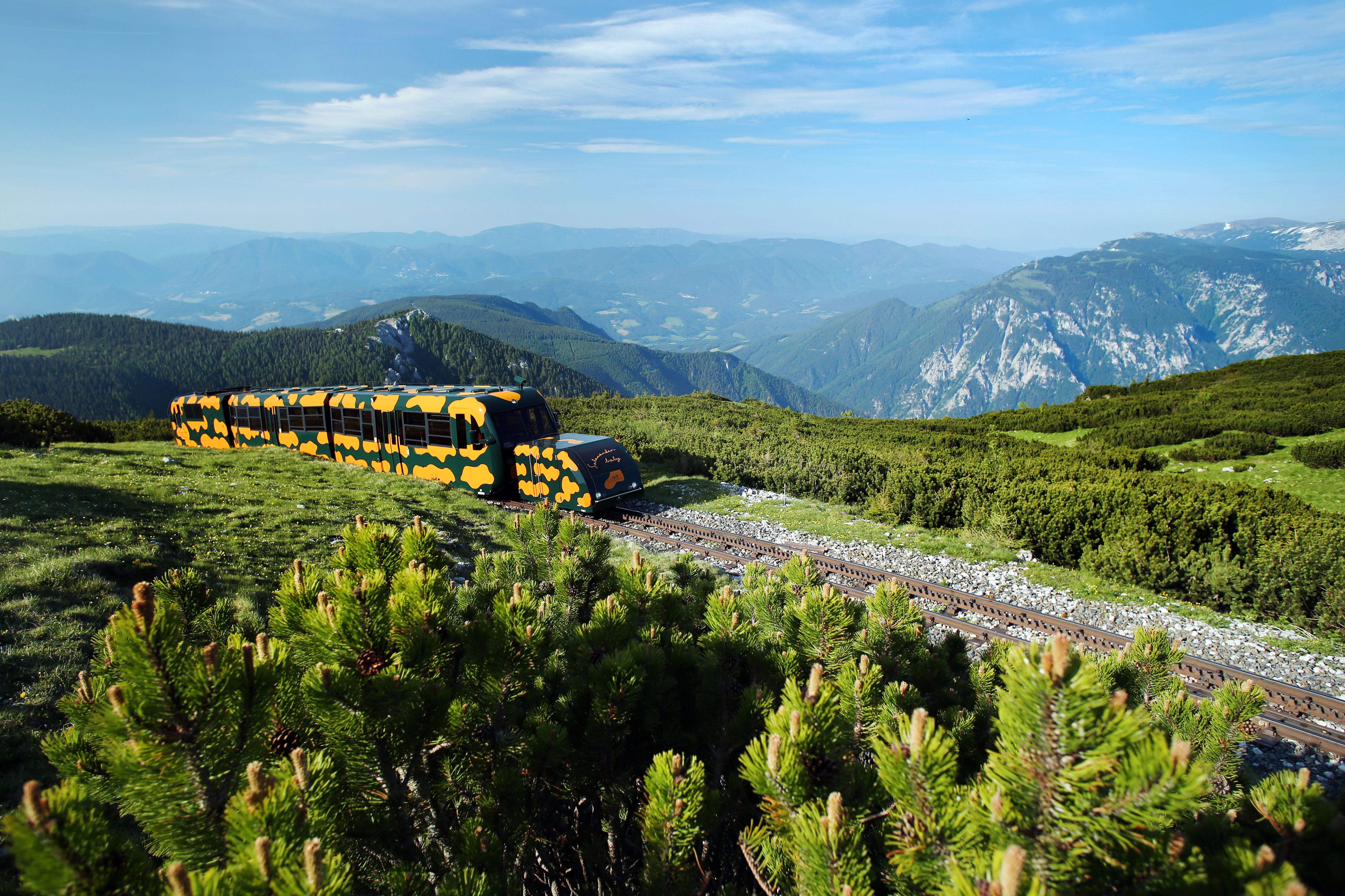 Salamander-Zug der Schneebergbahn fährt durch Latschenfelder vor einem weitläufigen Bergpanorama.