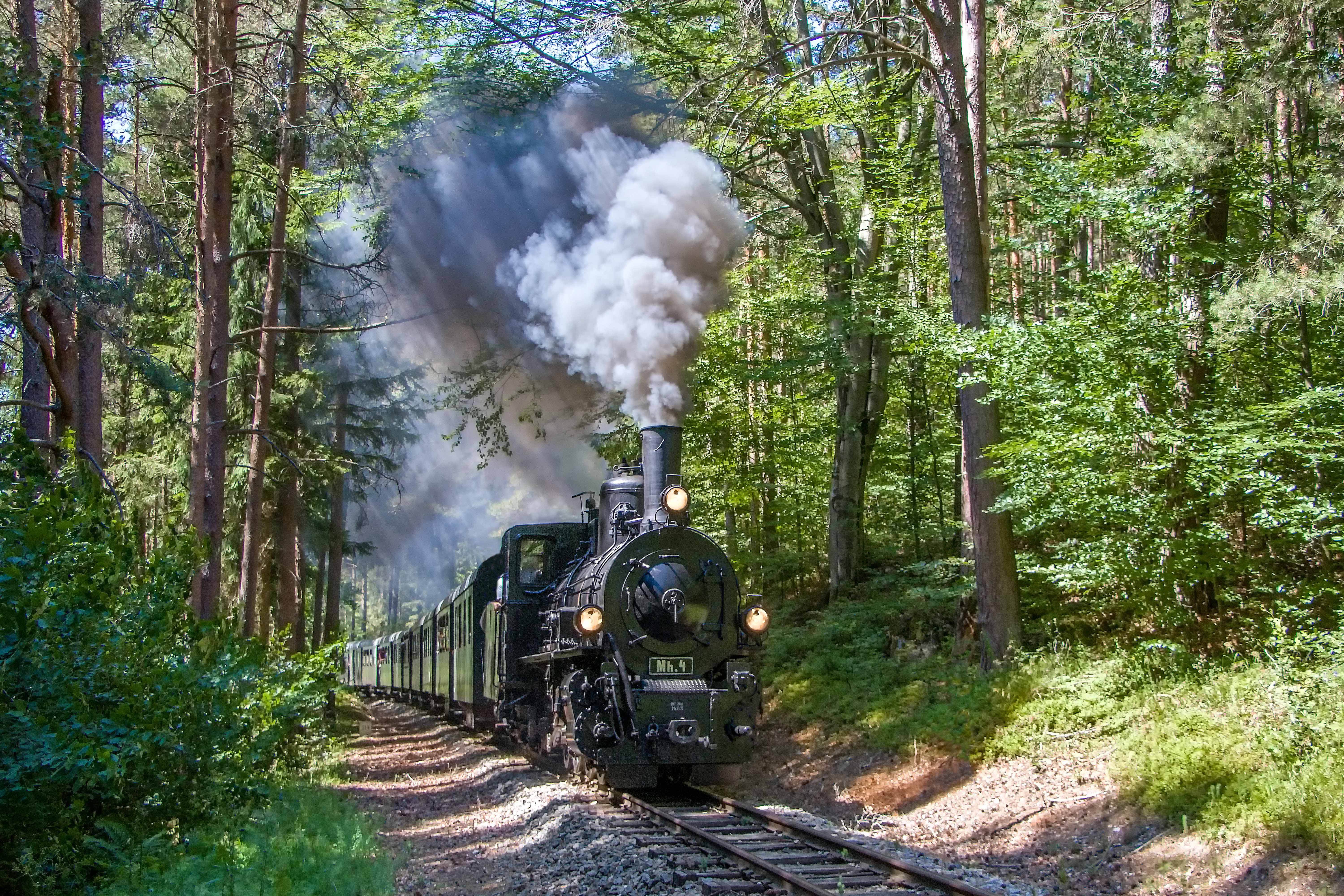 Dampflok Mh.4 fährt mit historischen Personenwagen durch einen dicht bewachsenen Wald.