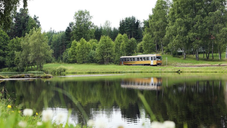 Der Goldene Triebwagen fährt entlang eines Waldviertler Teichs
