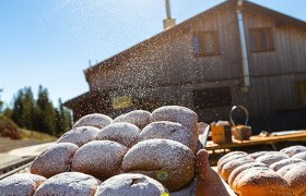 frische Buchteln mit Puderzucker bestreut