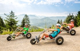 Bursch, Mädchen und die Großmutter genießen eine Mountaincart-Abfahrt. Im Hintergrund sieht man das Bergpanorama