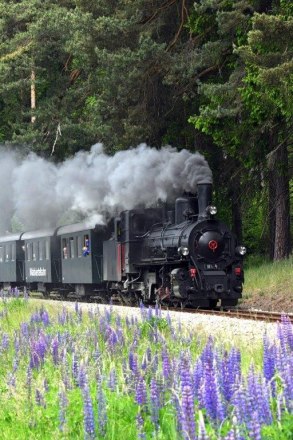 Waldviertelbahn, © @NB/knipserl